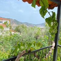 Villa Leto Kleo 1 — 40