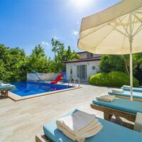 Villa Botanik — 4