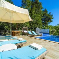 Villa Botanik — 8